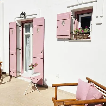 Plectranthus Appartement