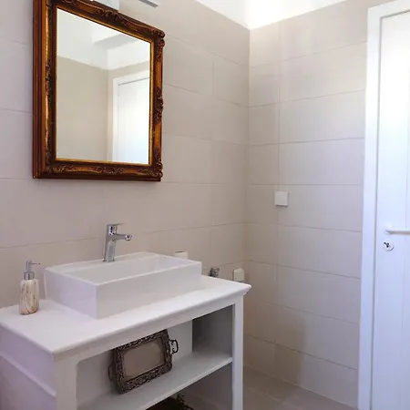 Plectranthus Appartement *