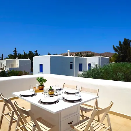 Plectranthus * Parikia (Paros)