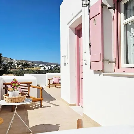 Plectranthus * Parikia (Paros)