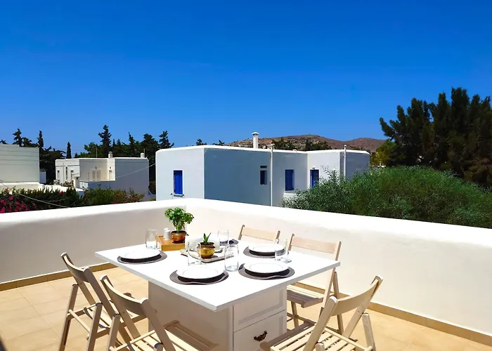 Plectranthus * باروس