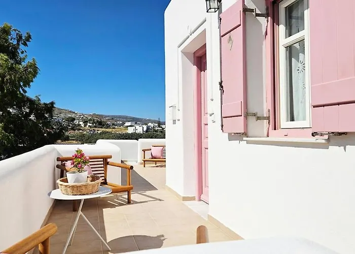 Plectranthus * Páros